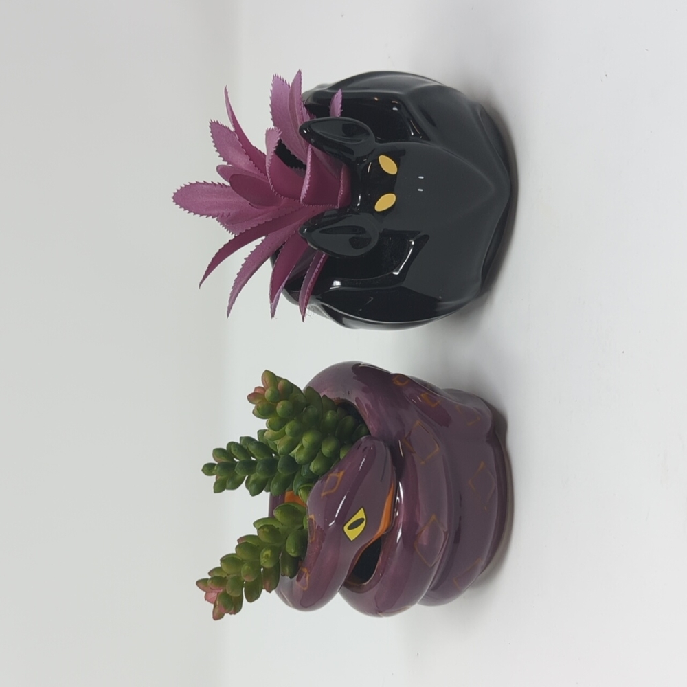 Target Hyde and Eek Snake & Bat Succulent